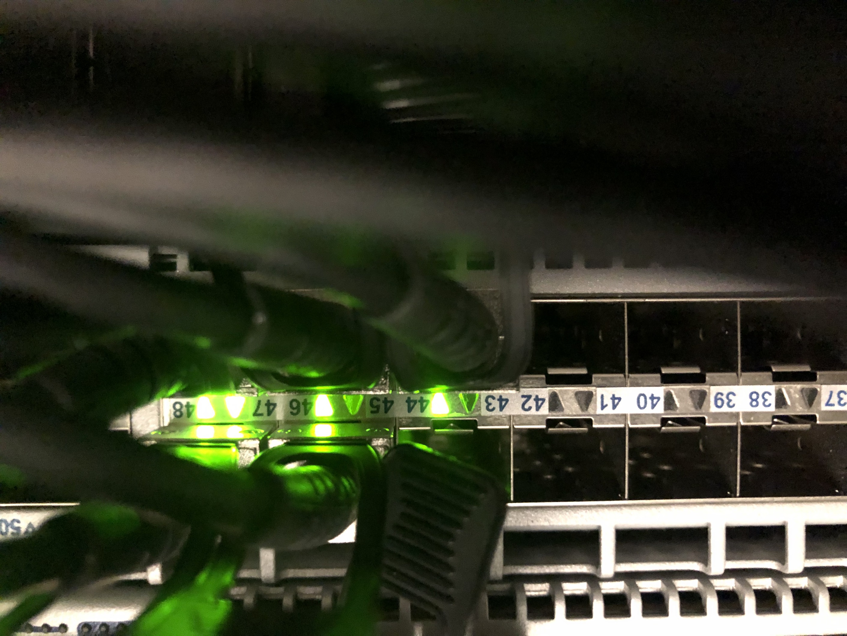 Photo. Détail de quelques ports d'un switch (10G et DAC).